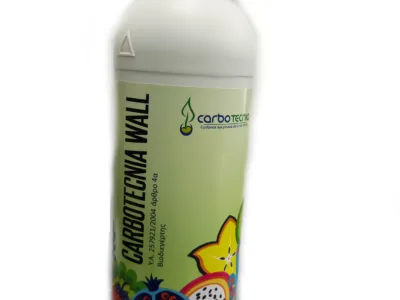 ΕΚΧΥΛΙΣΜΑ ΦΥΚΙΩΝ-ΧΑΛΚΟΣ 5% CARBOTECNIA WALL 1L | Μικροσυσκευασίες Λιπασμάτων>Υγρά & Διαφυλλικά λιπάσματα - Supergarden.gr