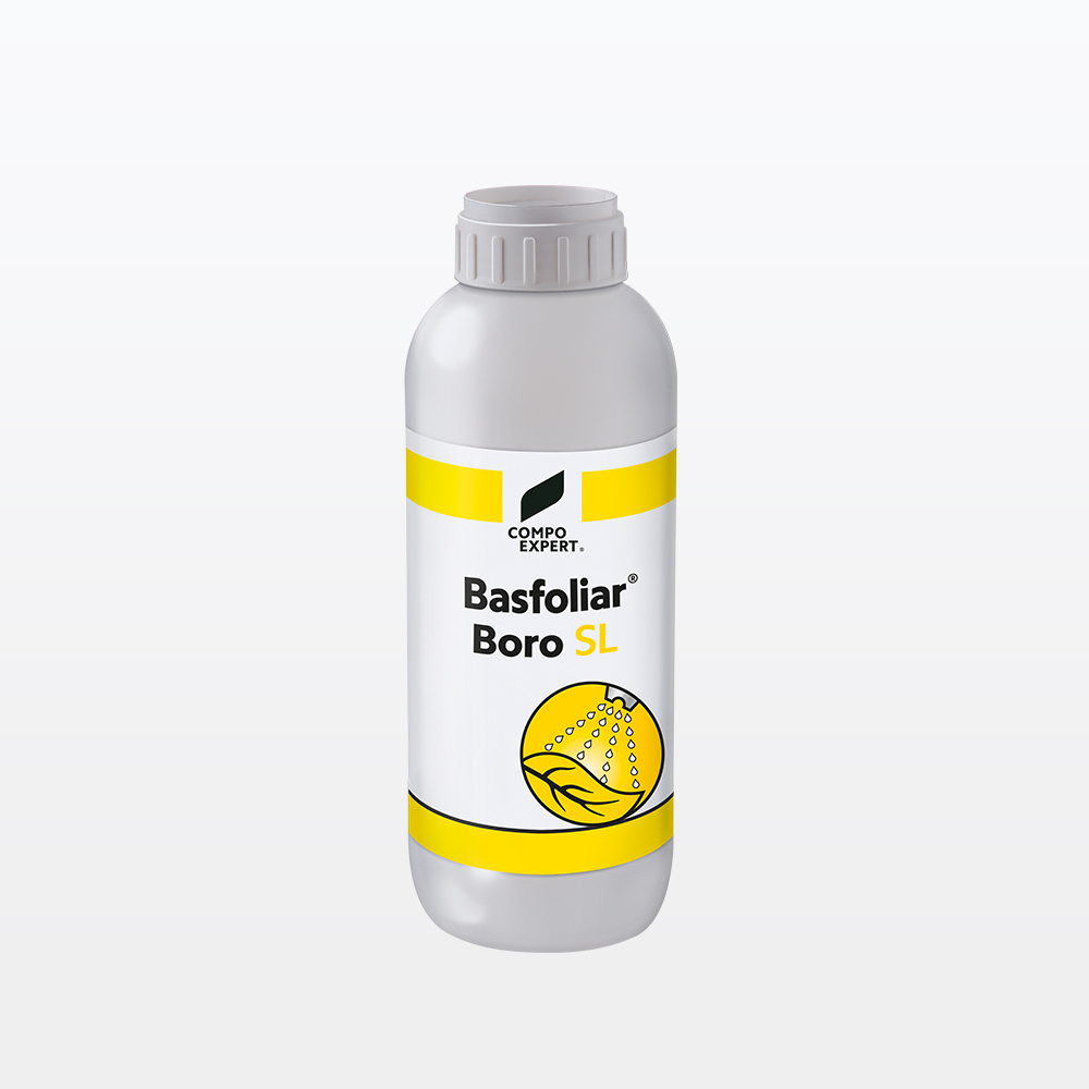 ΛΙΠΑΣΜΑ ΒΟΡΙΟΥ COMPO BASFOLIAR LIQUID BORO 1L ΛΙΠΑΣΜΑ ΒΟΡΙΟΥ COMPO BASFOLIAR LIQUID BORO 1L | Μικροσυσκευασίες Λιπασμάτων>Υγρά & Διαφυλλικά λιπάσματα - Supergarden.gr