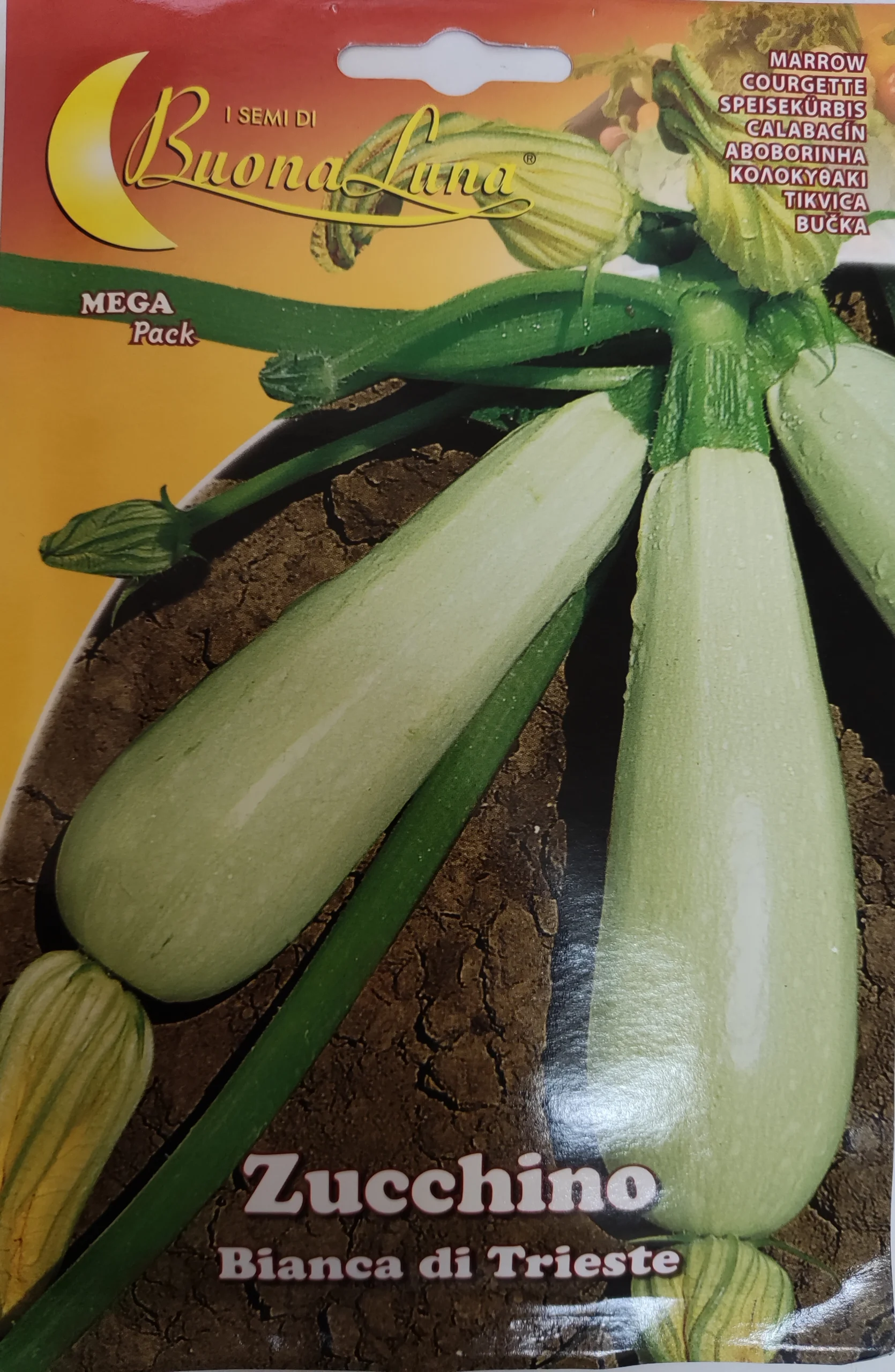 ΚΟΛΟΚΥΘΑΚΙ 10gr ΚΟΛΟΚΥΘΑΚΙ 10gr | Σπόροι- Βολβοί>Σπόροι Λαχανοκομικών - Supergarden.gr