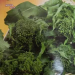 ΒΡΟΥΒΑ 20gr | Σπόροι- Βολβοί>Σπόροι Λαχανοκομικών - Supergarden.gr