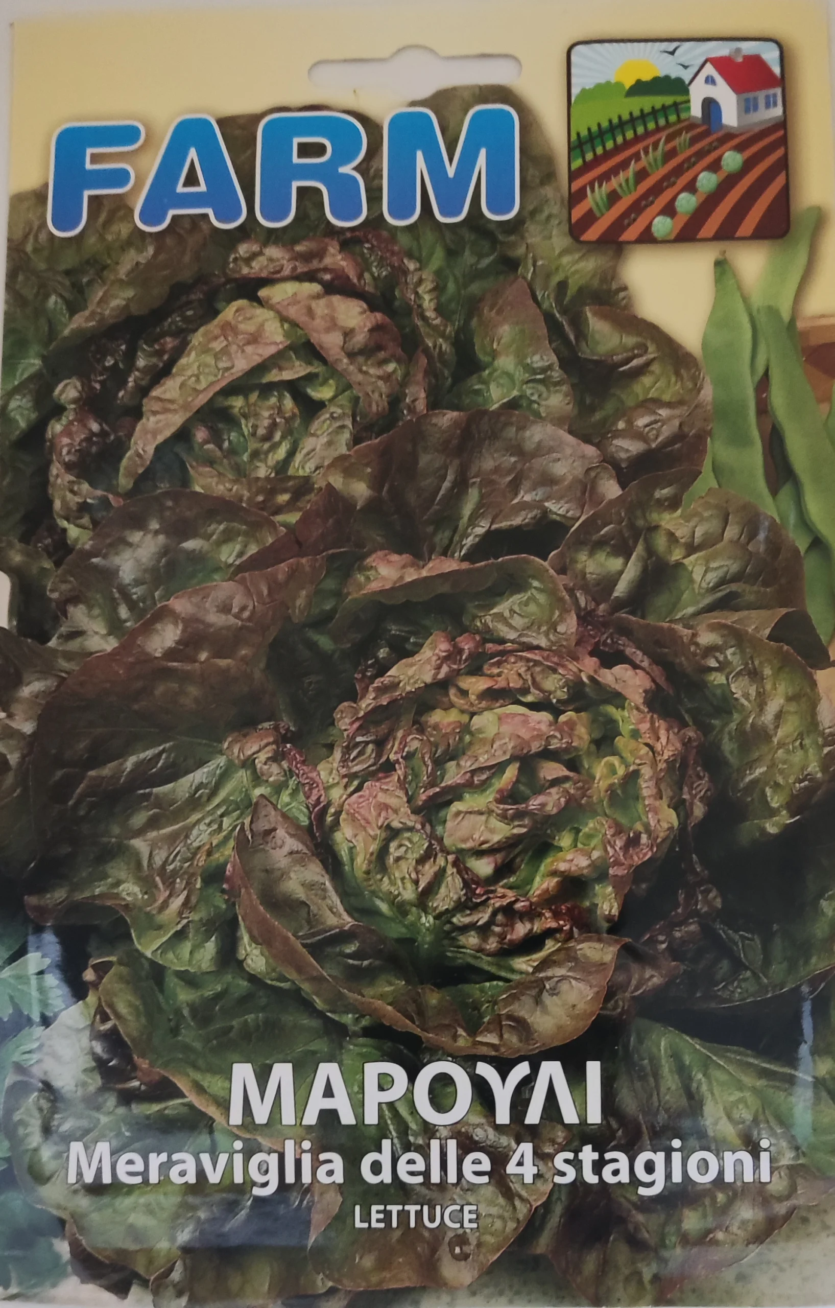 ΜΑΡΟΥΛΙ 4 εποχών 7gr ΜΑΡΟΥΛΙ 4 εποχών 7gr | Σπόροι- Βολβοί>Σπόροι Λαχανοκομικών - Supergarden.gr
