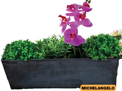 ΖΑΡΝΤΙΝΙΕΡΑ ΠΛΑΣΤΙΚΗ NovaVita 50x16cm Michelangelo με πιάτο |  - Supergarden.gr