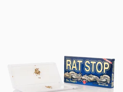 Ποντικοπαγίδες με κόλλα Rat Stop | Αντιμετώπιση Εντόμων-Τρωκτικών>Κολλητικές Επιφάνειες - Supergarden.gr