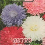 ΑΣΤΡΟ CALIFORNIA 1gr | Σπόροι- Βολβοί>Σπόροι Ανθέων - Supergarden.gr