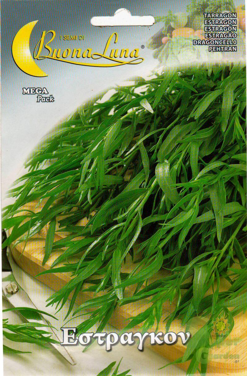 ΕΣΤΡΑΓΚΟΝ 9gr ΕΣΤΡΑΓΚΟΝ 9gr | Σπόροι- Βολβοί>Σπόροι Αρωματικών - Supergarden.gr