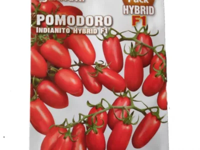 ΤΟΜΑΤΑ ΝΤΟΜΑΤΙΝΙ ΒΕΛΑΝΙΔΙ ΥΒΡΙΔΙΟ GOLD PACK F1 | Σπόροι- Βολβοί>Σπόροι Λαχανοκομικών - Supergarden.gr