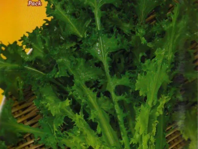 ΑΝΤΙΔΙ ΚΑΤΣΑΡΟ romanesca da taglio 10gr | Σπόροι- Βολβοί>Σπόροι Λαχανοκομικών - Supergarden.gr