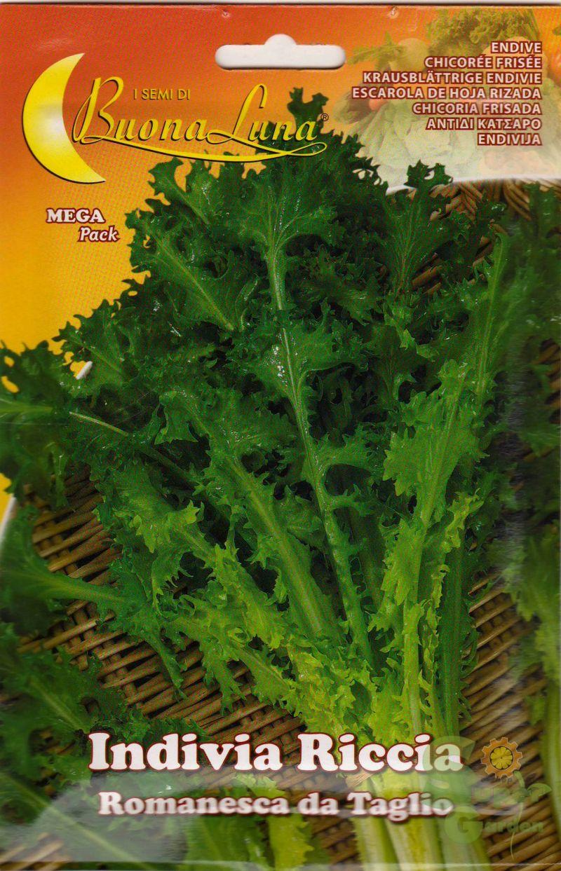 ΑΝΤΙΔΙ ΚΑΤΣΑΡΟ romanesca da taglio 10gr ΑΝΤΙΔΙ ΚΑΤΣΑΡΟ romanesca da taglio 10gr | Σπόροι- Βολβοί>Σπόροι Λαχανοκομικών - Supergarden.gr