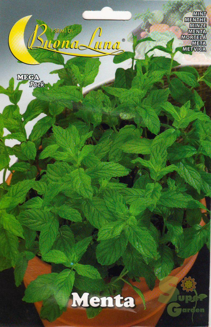 MENTA 5gr MENTA 5gr | Σπόροι- Βολβοί>Σπόροι Αρωματικών - Supergarden.gr