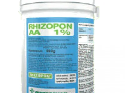 RHIZOPON AA 1% 100gr για ριζοβολία ξυλωδών μοσχευμάτων | Μικροσυσκευασίες Λιπασμάτων>Ριζοβολίας - Supergarden.gr