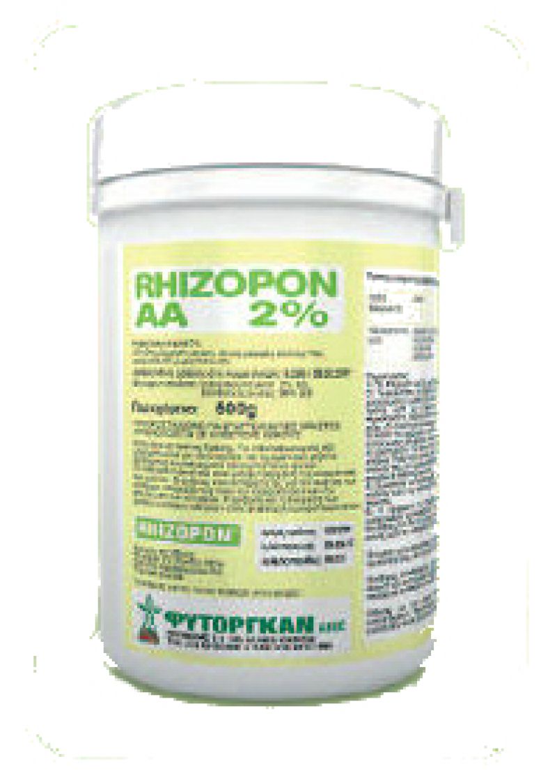RHIZOPON AA 2% 500gr για ριζοβολία ξυλωδών μοσχευμάτων RHIZOPON AA 2% 500gr για ριζοβολία ξυλωδών μοσχευμάτων | Μικροσυσκευασίες Λιπασμάτων>Ριζοβολίας - Supergarden.gr