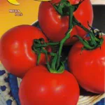 ΤΟΜΑΤΑ CAMPBELL 33 10gr | Σπόροι- Βολβοί>Σπόροι Λαχανοκομικών - Supergarden.gr