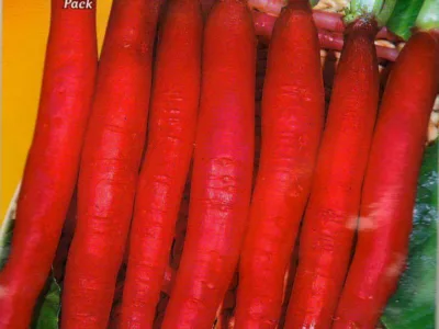 ΡΑΠΑΝΙ CANDELA DI FUOCO 17gr | Σπόροι- Βολβοί>Σπόροι Λαχανοκομικών - Supergarden.gr