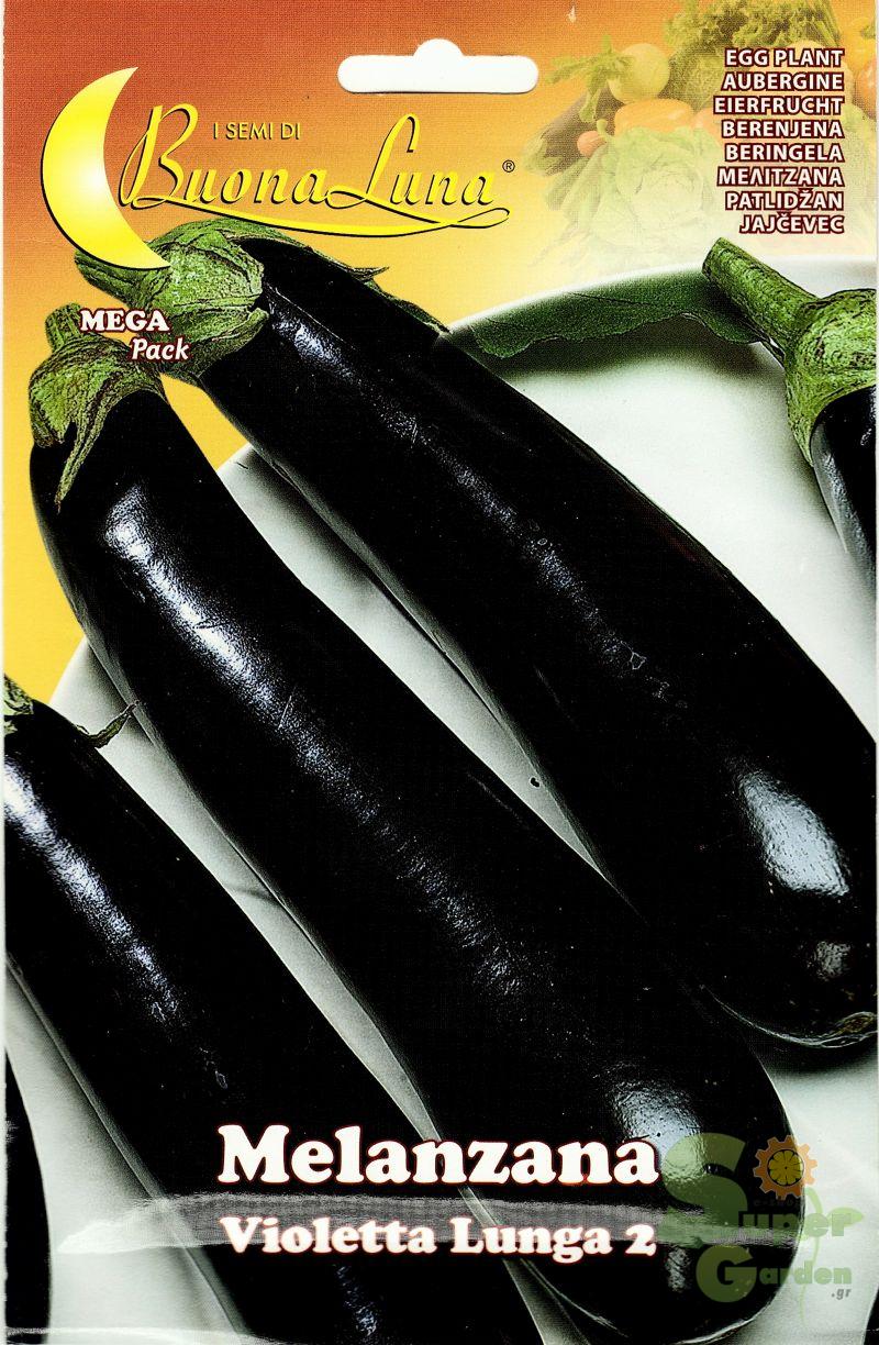 ΜΕΛΙΤΖΑΝΑ VIOLETTA LUNGA 2 8gr ΜΕΛΙΤΖΑΝΑ VIOLETTA LUNGA 2 8gr | Σπόροι- Βολβοί>Σπόροι Λαχανοκομικών - Supergarden.gr