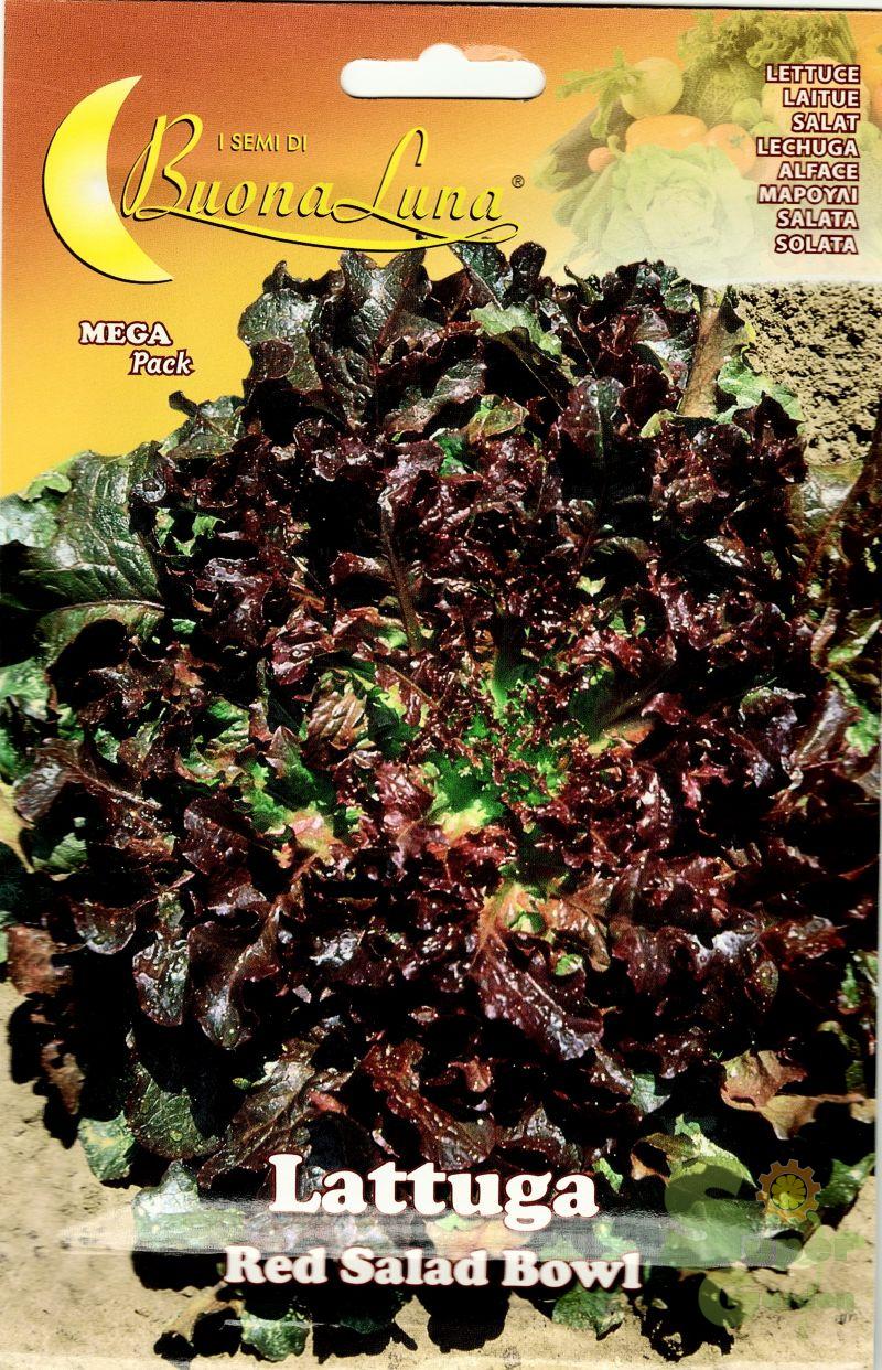 ΜΑΡΟΥΛΙ ΚΟΚΚΙΝΟ SALAD BOWL 7gr ΜΑΡΟΥΛΙ ΚΟΚΚΙΝΟ SALAD BOWL 7gr | Σπόροι- Βολβοί>Σπόροι Λαχανοκομικών - Supergarden.gr