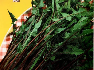 ΡΑΔΙΚΙ ΙΤΑΛΙΚΟ 15gr | Σπόροι- Βολβοί>Σπόροι Λαχανοκομικών - Supergarden.gr