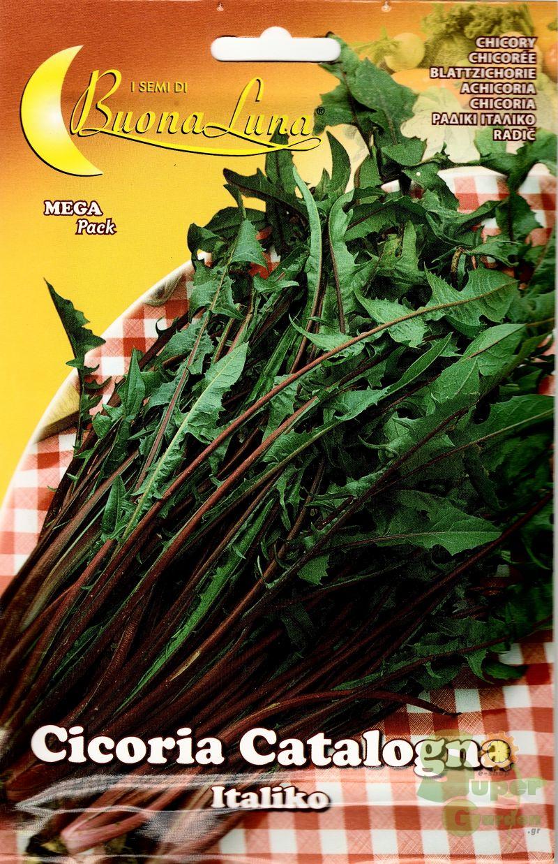 ΡΑΔΙΚΙ ΙΤΑΛΙΚΟ 15gr ΡΑΔΙΚΙ ΙΤΑΛΙΚΟ 15gr | Σπόροι- Βολβοί>Σπόροι Λαχανοκομικών - Supergarden.gr