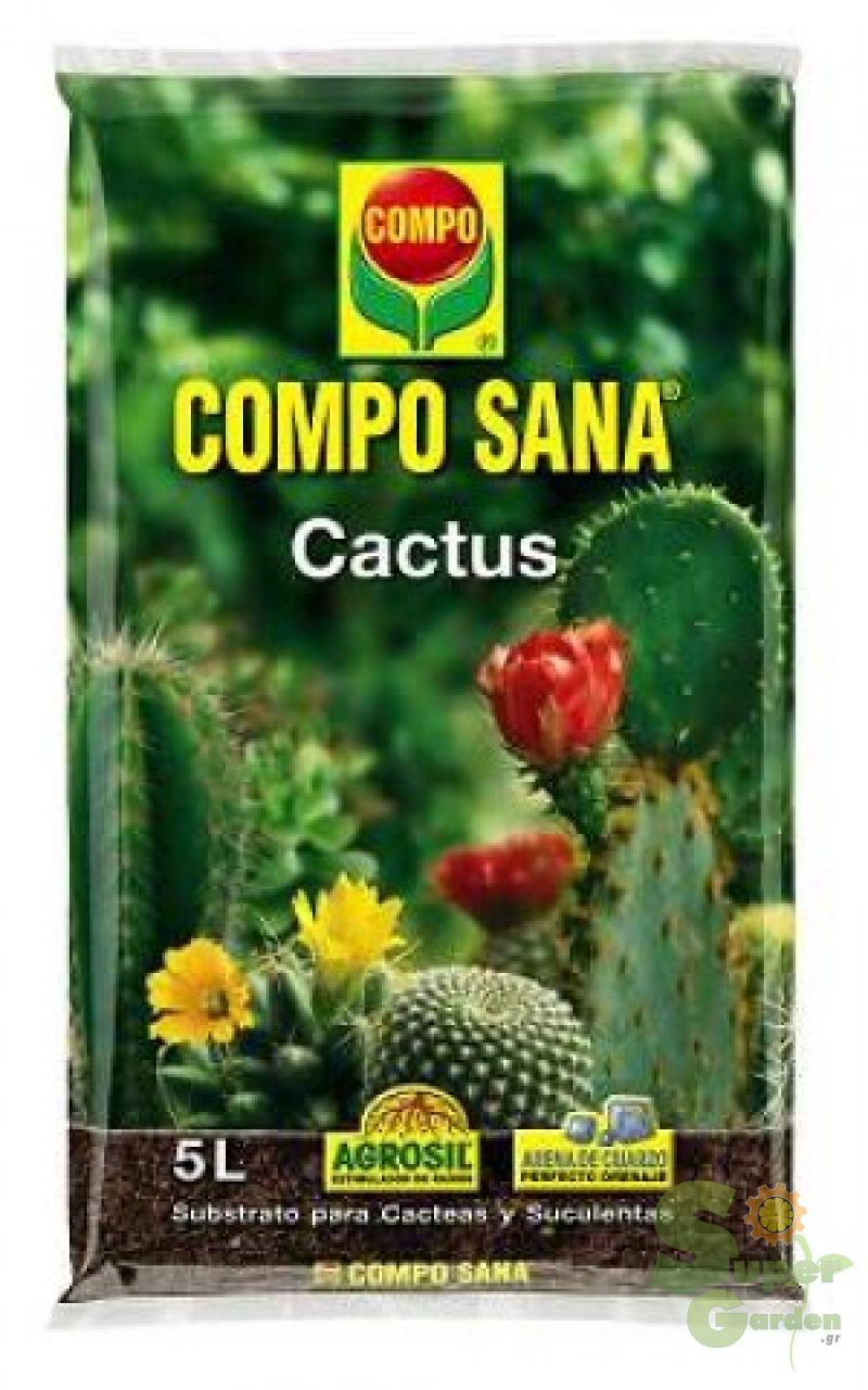 COMPO CACTEA® ΦΥΤΟΧΩΜA 5 Lt KAKTOYΣ COMPO CACTEA® ΦΥΤΟΧΩΜA 5 Lt KAKTOYΣ | Εξοπλισμός Κήπου>Φυτοχώματα - Supergarden.gr