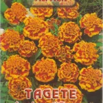 ΚΑΤΗΦΕΣ LEGION D'ONORE 0.9gr | Σπόροι- Βολβοί>Σπόροι Ανθέων - Supergarden.gr