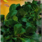 ΒΑΛΕΡΙΑΝΑ 11gr | Σπόροι- Βολβοί>Σπόροι Αρωματικών - Supergarden.gr