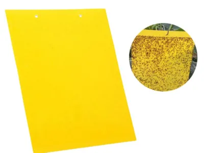 ΚΟΛΛΗΤΙΚΕΣ ΚΙΤΡΙΝΕΣ ΕΝΤΟΜΟΠΑΓΙΔΕΣ 20X25cm 10τεμ. | Αντιμετώπιση Εντόμων-Τρωκτικών>Κολλητικές Επιφάνειες - Supergarden.gr