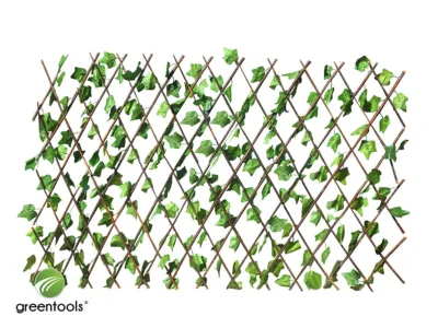 ΦΥΛΛΩΣΙΑ ΠΕΡΓΚΟΛΑ GREEN TOOLS ΠΡΑΣΙΝΟ 1Χ2m | Εξοπλισμός Κήπου>Διακοσμητικά Κήπου - Supergarden.gr