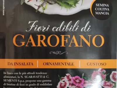 ΣΠΟΡΟΙ ΒΡΩΣΙΜΟΥ ΑΝΘΟΥΣ ΓΑΡΥΦΑΛΛΟ 10gr | Σπόροι- Βολβοί>Σπόροι Ανθέων - Supergarden.gr
