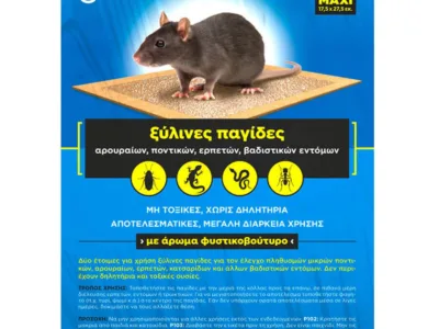 ΠΑΓΙΔΑ ΠΟΝΤΙΚΩΝ ΚΑΙ ΑΡΟΥΡΑΙΩΝ ΞΥΛΙΝΗ ΜΕ ΚΟΛΛΑ G-TRAP ΜΕΓΑΛΗ 17
